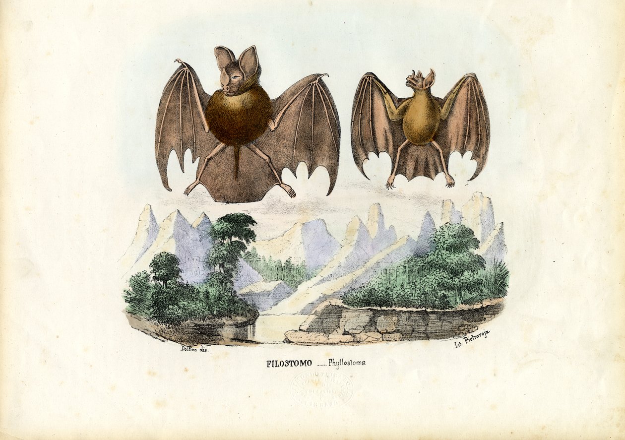 Nietoperze listonosy, 1863-79 autorstwa Raimundo Petraroja