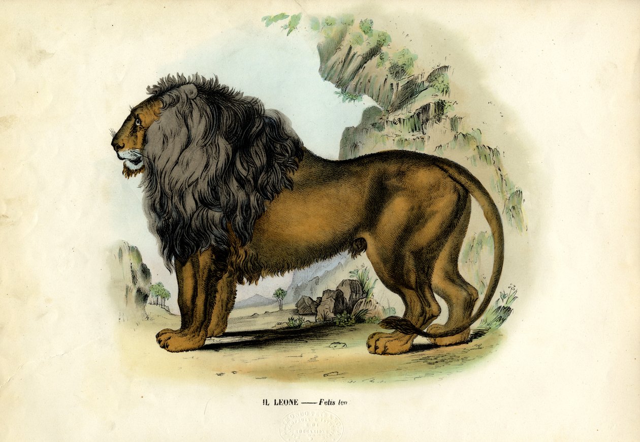Lew, 1863-79 autorstwa Raimundo Petraroja