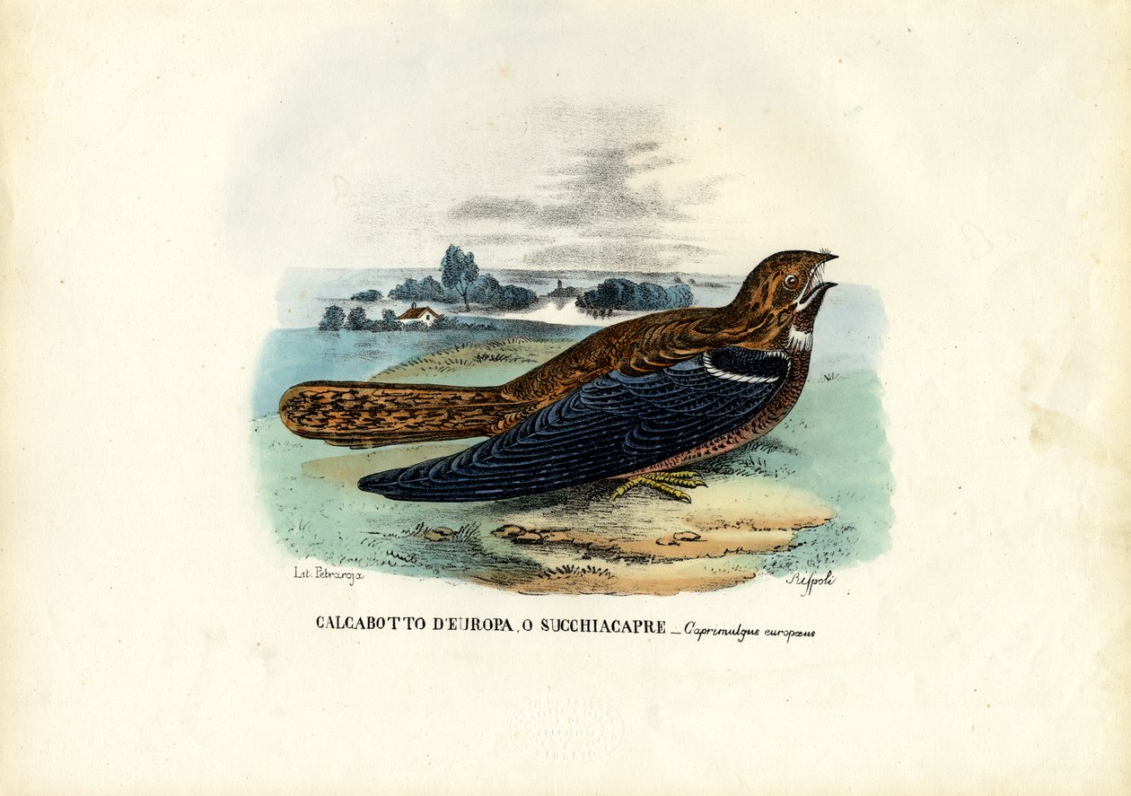 Koszmar, 1863-79 autorstwa Raimundo Petraroja