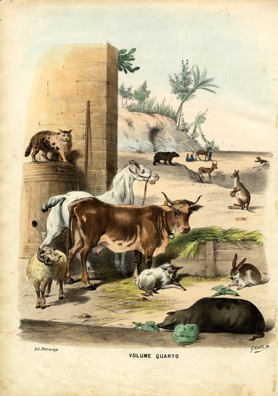 Strona tytułowa, 1863-79 autorstwa Raimundo Petraroja