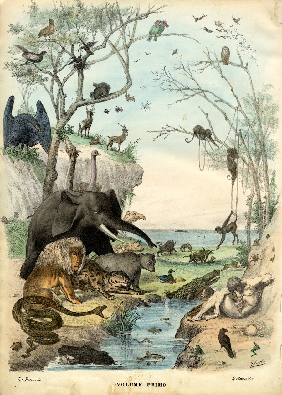 Strona tytułowa, 1863-79 autorstwa Raimundo Petraroja