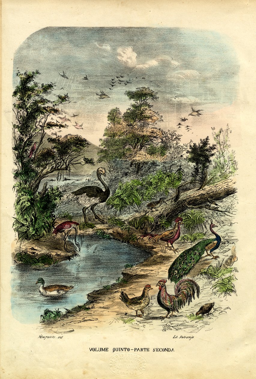 Strona tytułowa, 1863-79 autorstwa Raimundo Petraroja