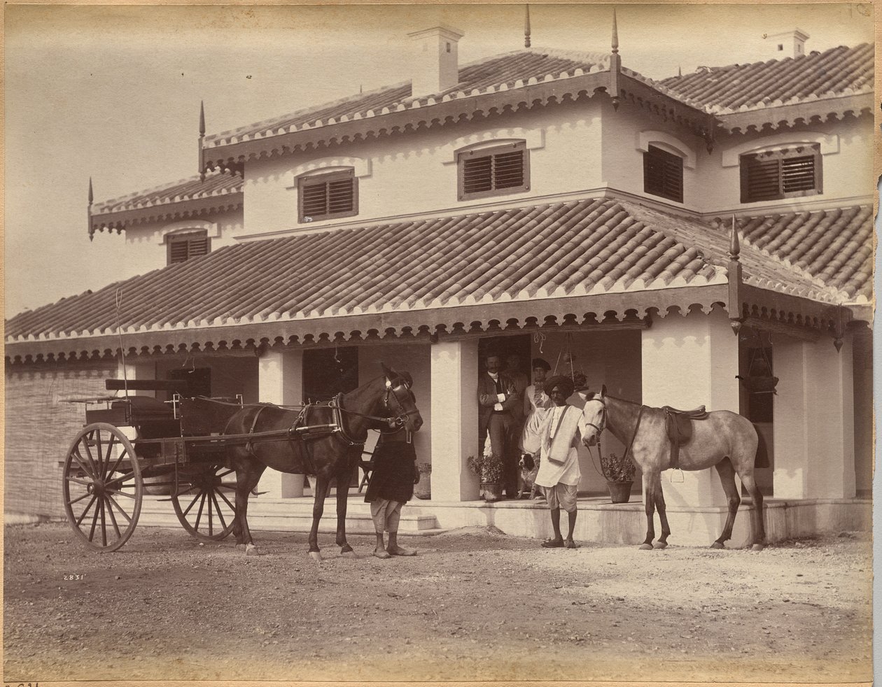 Pan MacNull, Jhansi (odwrocie) autorstwa Raja Deen Dayal