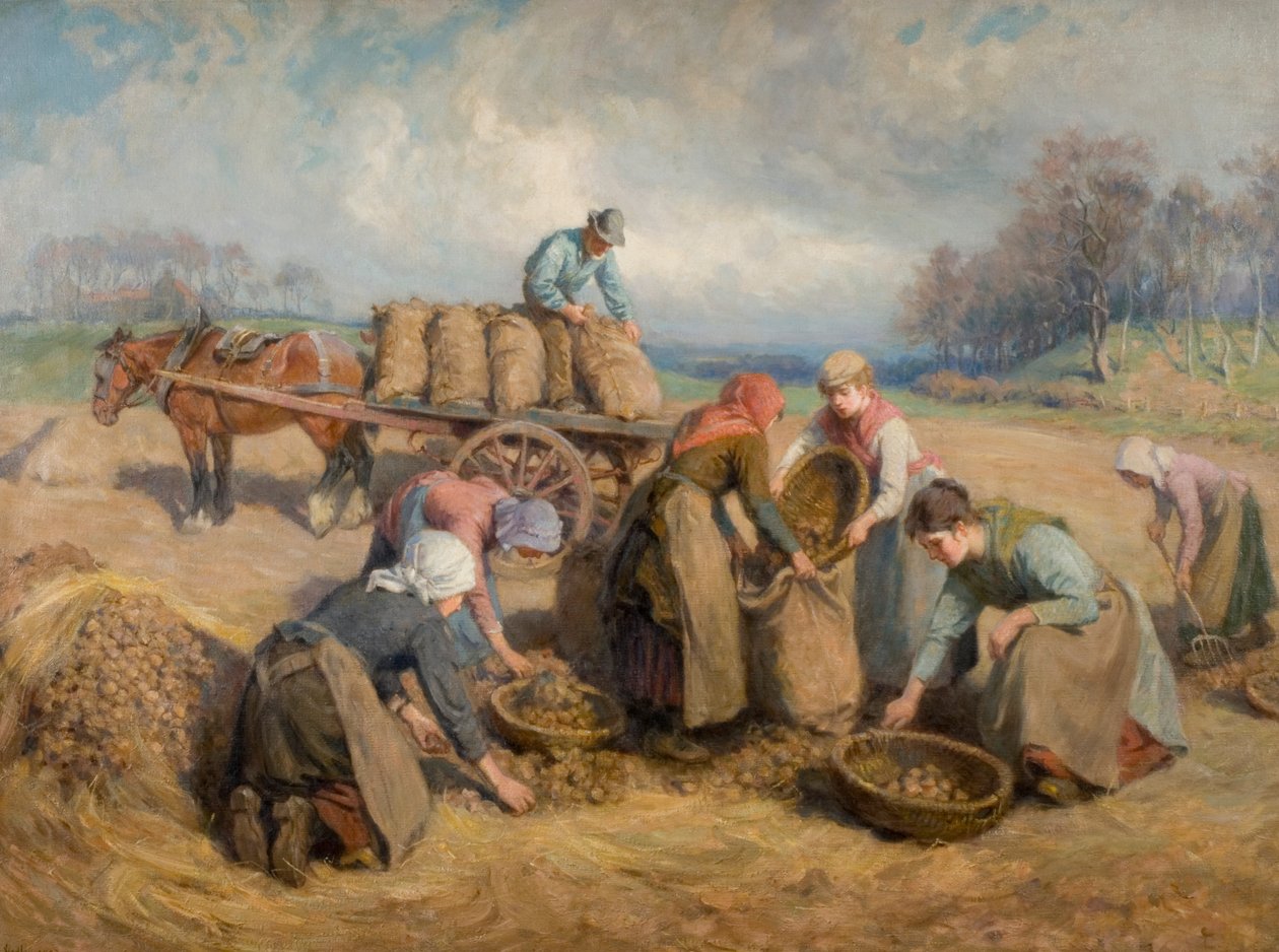 Zbieracze ziemniaków, Northumberland, 1903 autorstwa Ralph Hedley