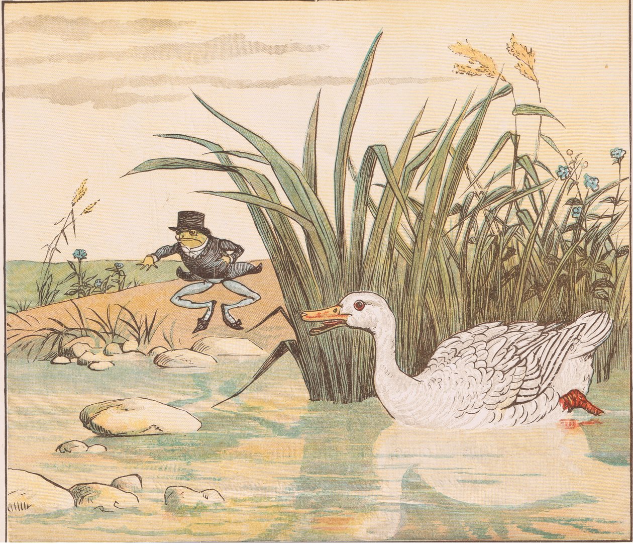 Połknęła go biała kaczka liliowa autorstwa Randolph Caldecott