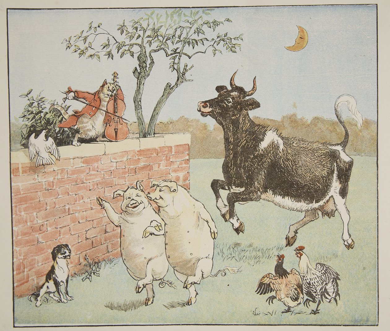 Kot i skrzypce, ilustracja z „Hey Diddle Diddle and Bye, Baby Bunting”, 1882 autorstwa Randolph Caldecott