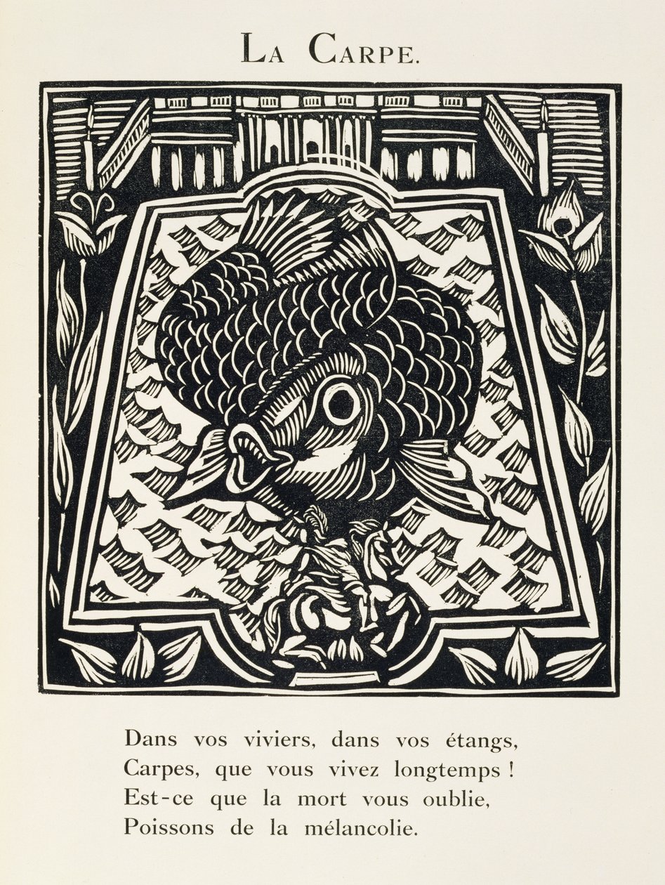 Karp, ilustracja z "Bestiarium lub procesji Orfeusza autorstwa Raoul Dufy