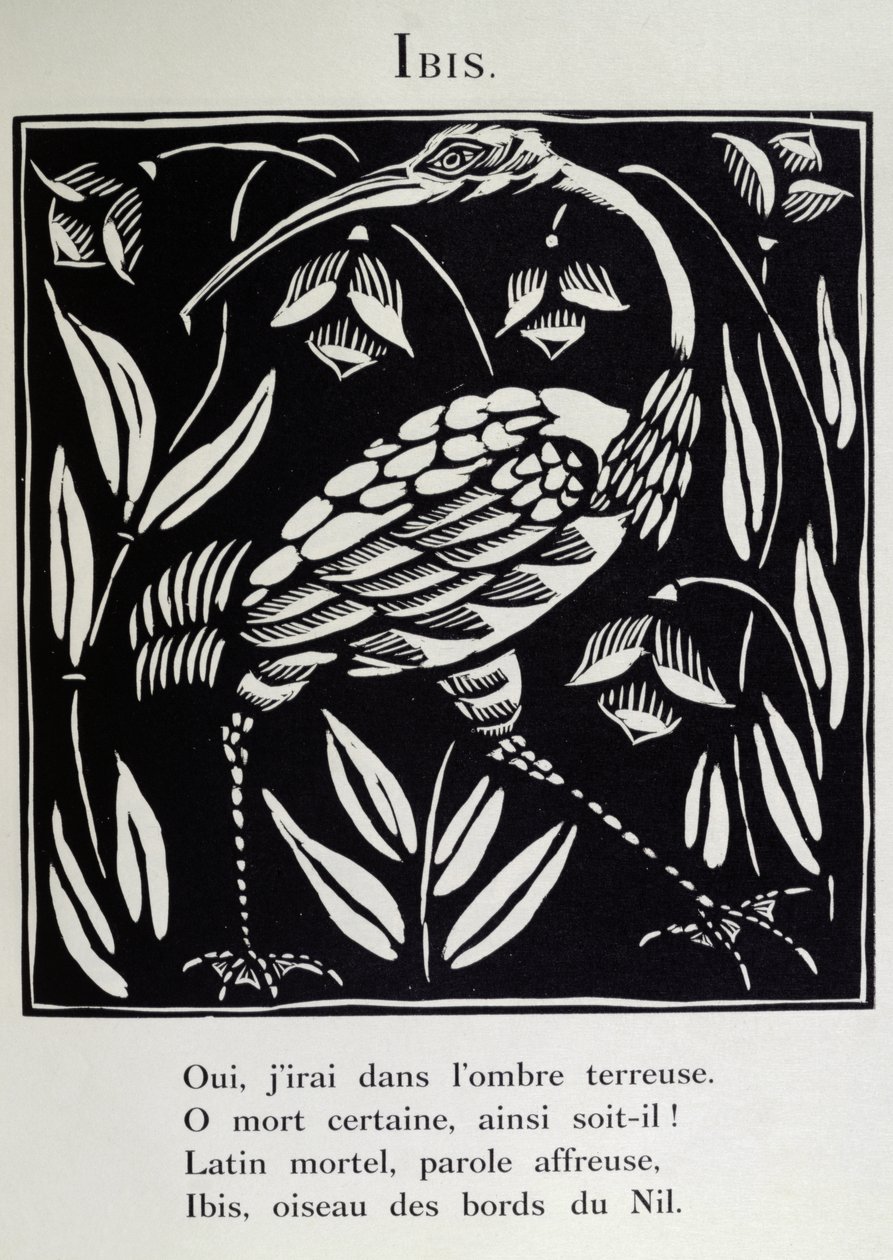 Ibis, ilustracja z "Bestiarium" lub "Procesji Orfeusza" Guillaume