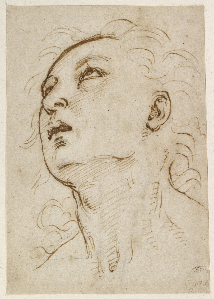 Recto: Głowa młodego mężczyzny patrzącego w górę, WA1846.156 autorstwa Raffaello Sanzio Raphael