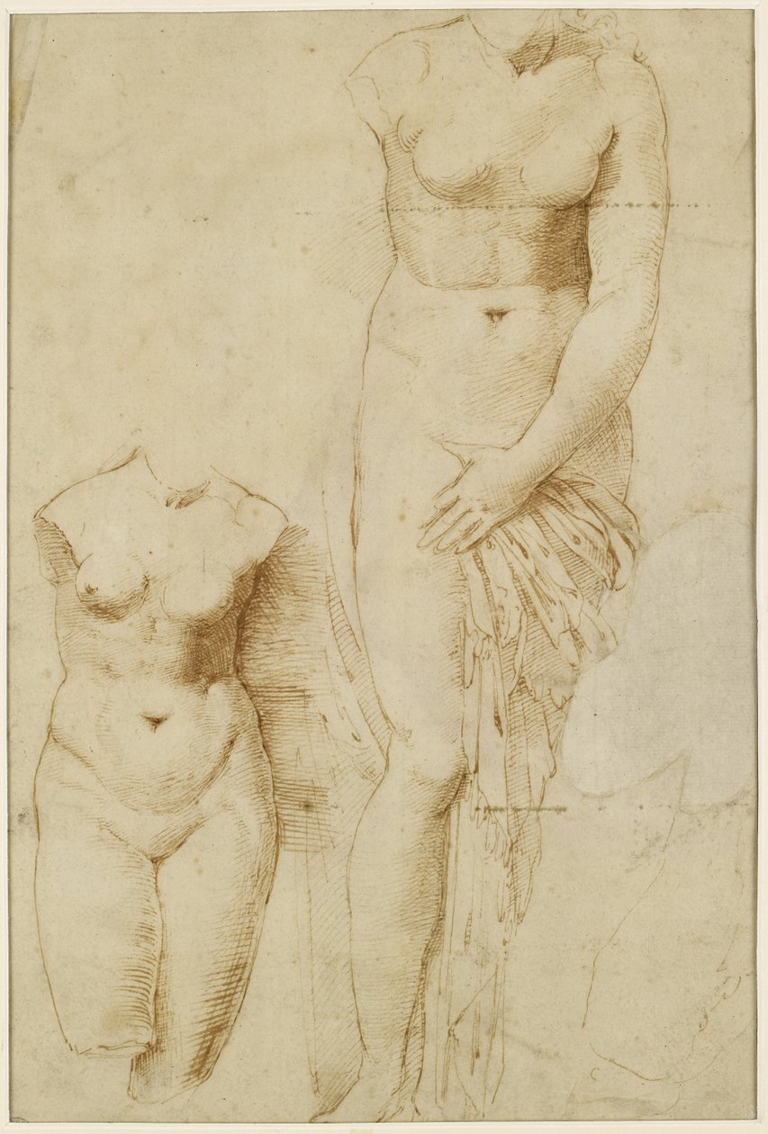 Recto: Dwie postacie Afrodyty. Verso: Męska postać w akcji, WA1846.261 autorstwa Raffaello Sanzio Raphael