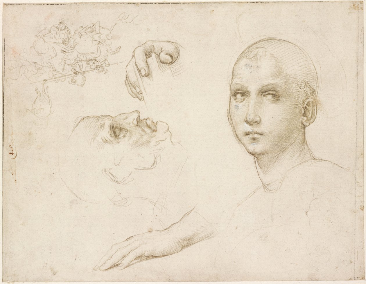 Studia do Trójcy Świętej i szkice wg Leonarda, WA1846.176 autorstwa Raffaello Sanzio Raphael