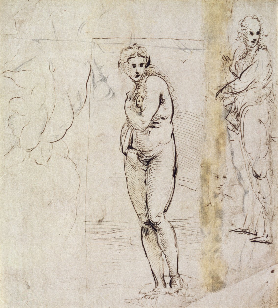 Studium Wenus (pióro i tusz) autorstwa Raffaello Sanzio Raphael