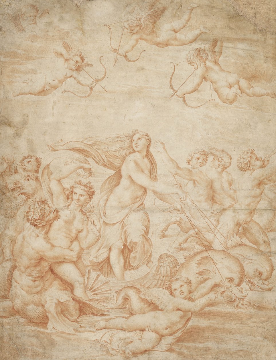 Triumf Galatei (czerwona kreda na jasnożółtym papierze) autorstwa Raffaello Sanzio Raphael