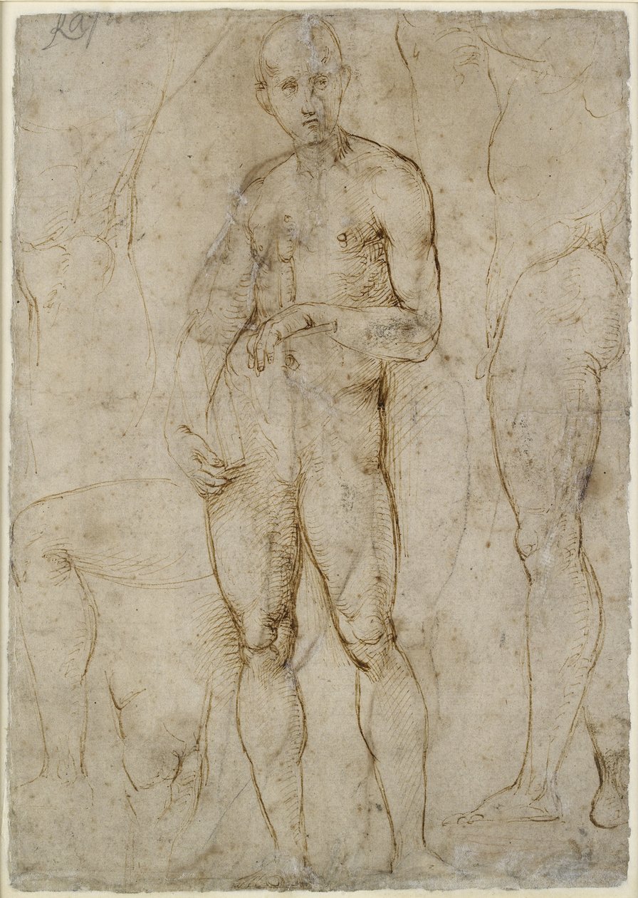 Verso: Studium aktu św. Pawła, WA1846.163 autorstwa Raffaello Sanzio Raphael
