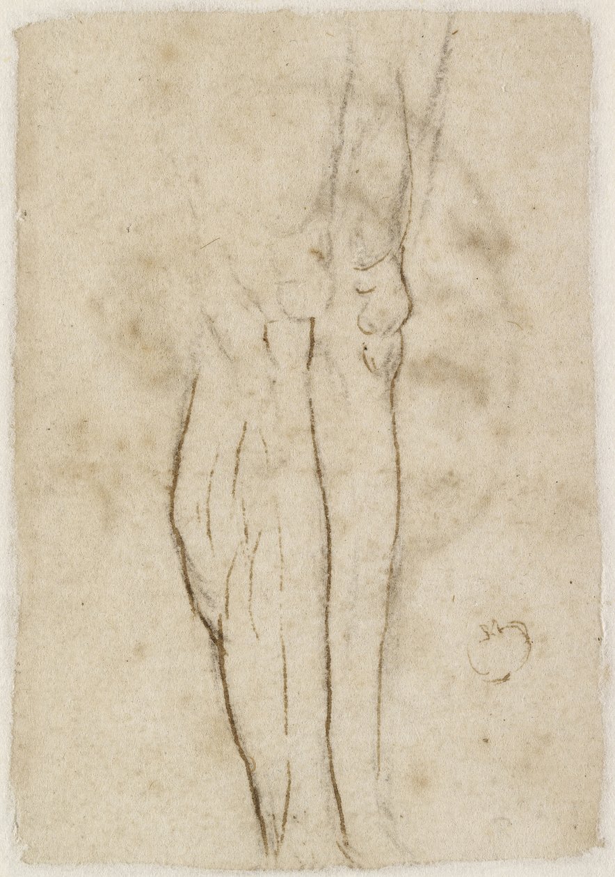 Verso: Szkic pary nóg, WA1846.156 autorstwa Raffaello Sanzio Raphael