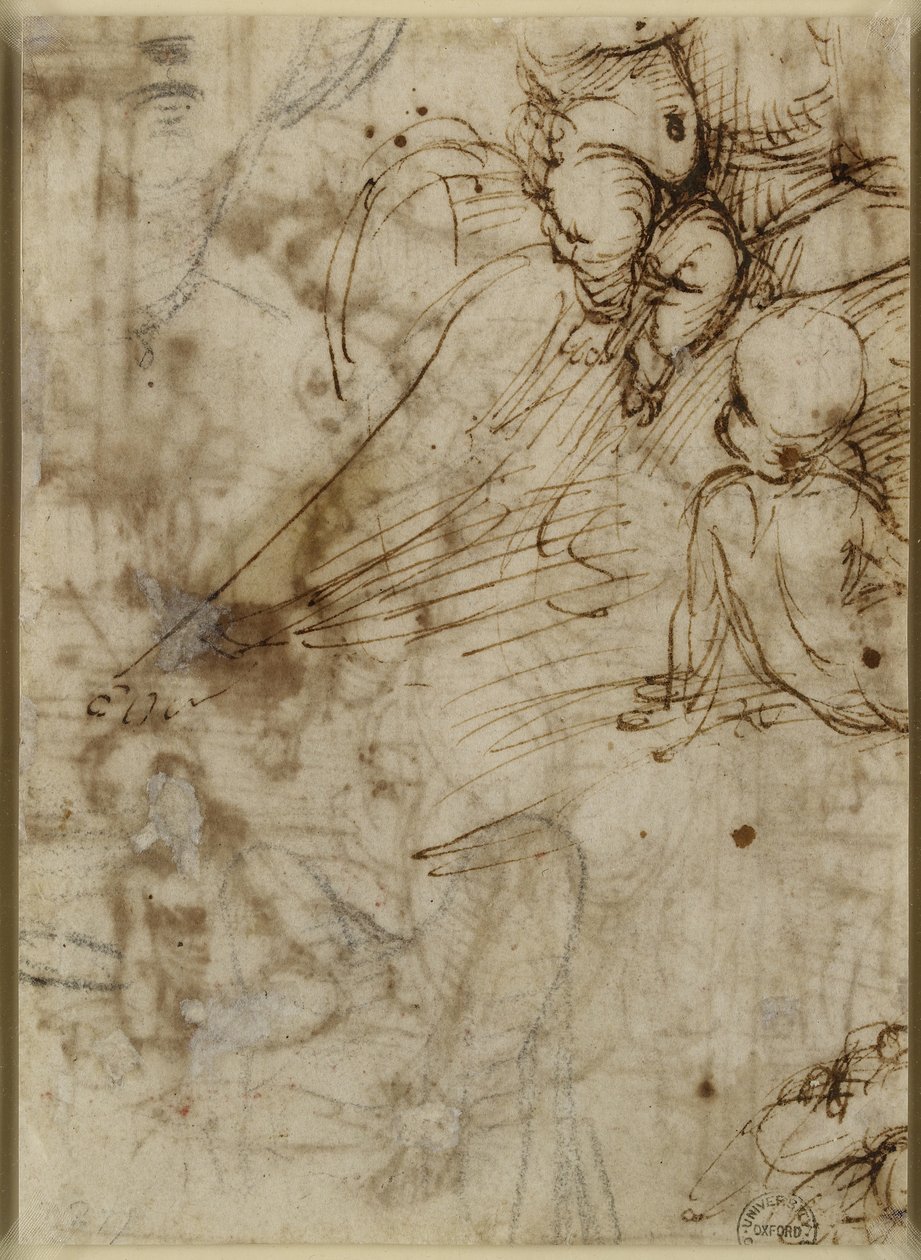 Verso: Dziewica, WA1846.162 autorstwa Raffaello Sanzio Raphael
