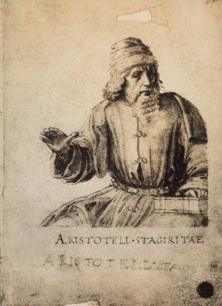 Arystoteles; rysunek Rafaela. Galerie dellAccademia, Wenecja autorstwa Raffaello Sanzio Raphael