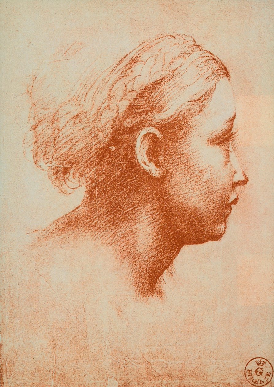 Głowa kobiety z profilu, rysunek Rafaela. Gabinet Rysunków i Druków, Uffizi, Florencja autorstwa Raffaello Sanzio Raphael