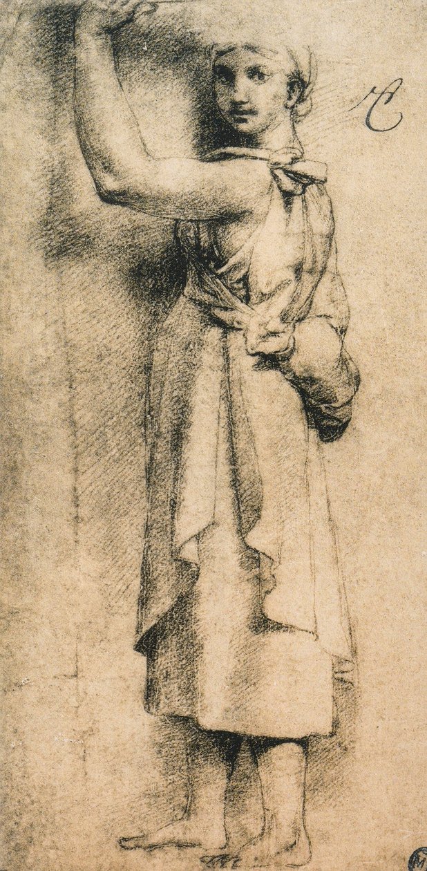 Studia dla kariatydy Camera di Eliodoro w Watykanie; rysunek Rafaela. Luwr, Paryż autorstwa Raffaello Sanzio Raphael