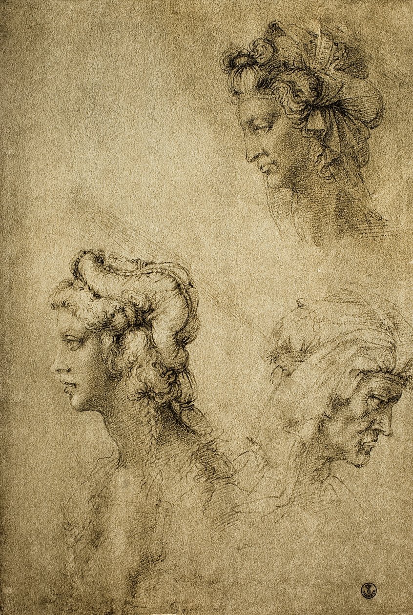 Studium kobiecych głów, rys. Rafael; Gabinet Rysunków i Grafiki, Galeria Uffizi, Florencja autorstwa Raffaello Sanzio Raphael