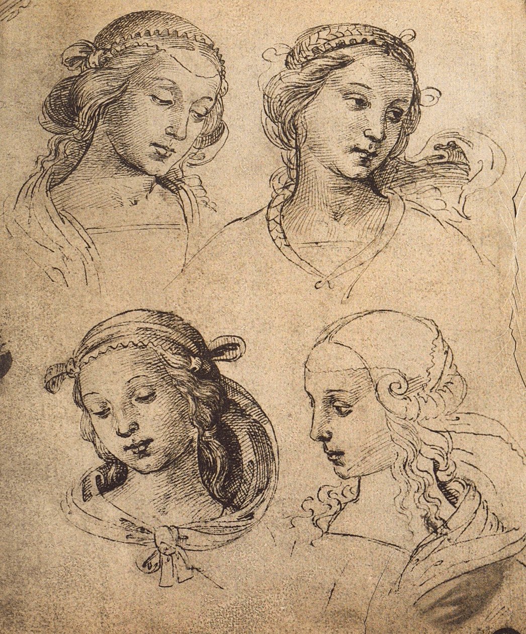 Badanie czterech kobiecych twarzy; rysunek Rafaela. Gallerie dellAccademia, Wenecja autorstwa Raffaello Sanzio Raphael