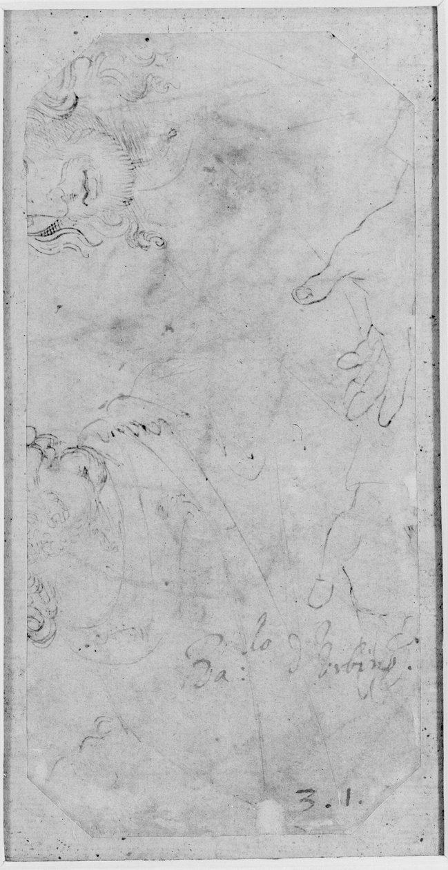 Verso: Szkice dwóch męskich głów i pary rąk, WA1846.167 (pióro i brązowy tusz na białym papierze) autorstwa Raffaello Sanzio Raphael