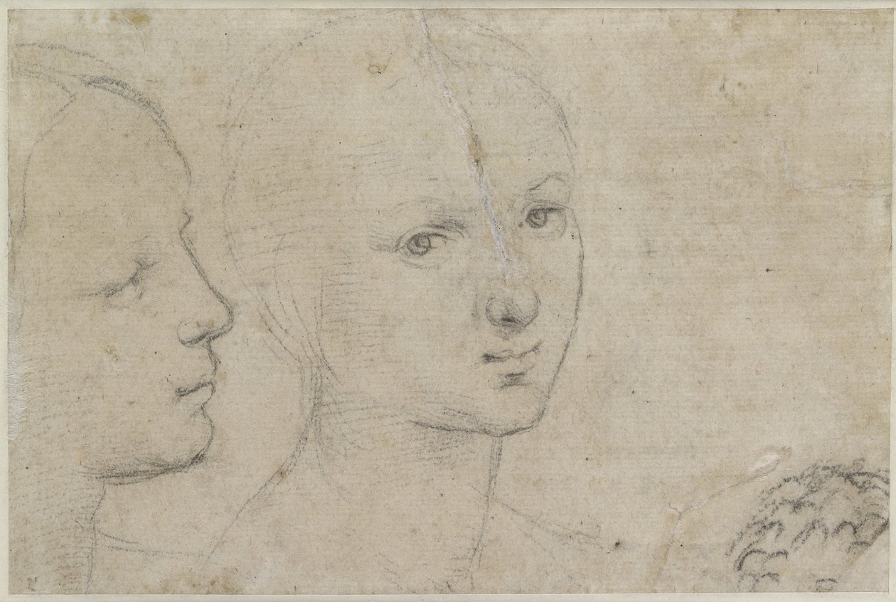 Verso: Dwa opracowania Głowy młodej kobiety, WA1846.157 (czarna kreda na złamanym białym papierze) autorstwa Raffaello Sanzio Raphael