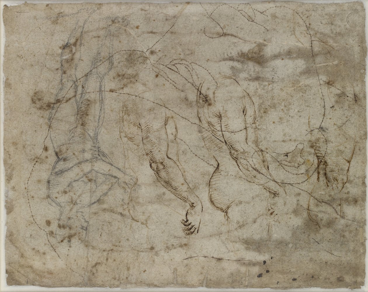 Verso: dwa studia ramion, profil skierowany do góry i postać stojąca, WA1846.164 (pióro i tusz, czarna kreda, profil nakłuty do transferu) autorstwa Raffaello Sanzio Raphael