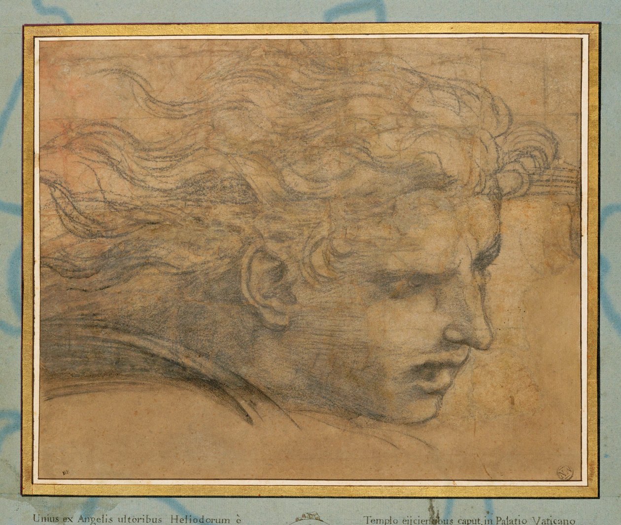 Głowa młodego mężczyzny, trzy czwarte w prawo ... autorstwa Raphael (1483 1520)