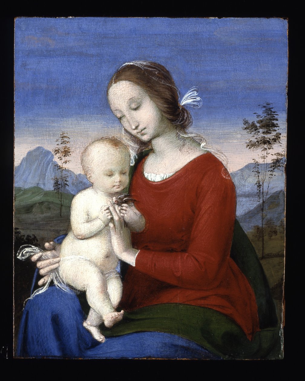 Madonna z Dzieciątkiem i ptakiem (olej na desce) autorstwa Raphael (1483 1520)