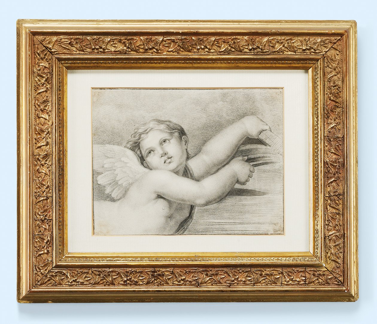 Głowa putto (czarna kreda na papierze) autorstwa after Raphael