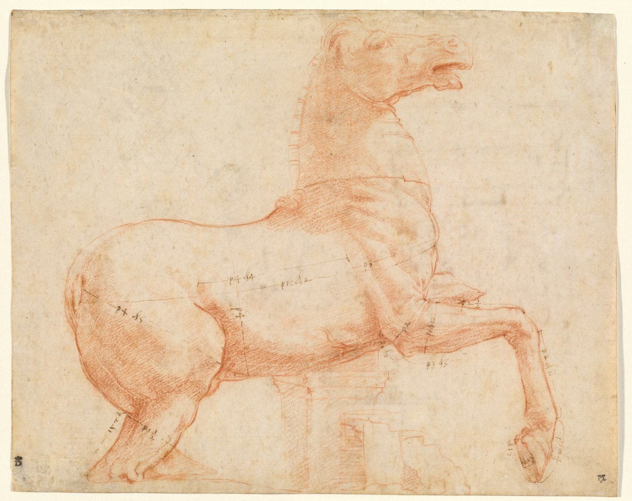 Marmurowy koń na Kwirynale (recto), ok. 1513 r. (czerwona kreda, długopis, brązowy atrament, ołowiany czubek i rysik) autorstwa Raphael (1483 1520)