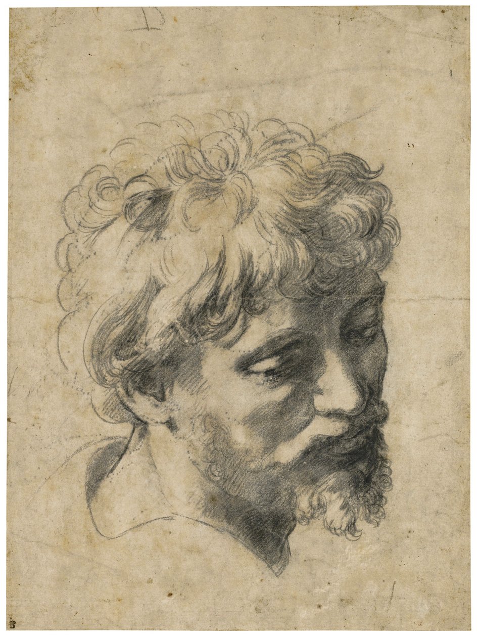 „Portret młodego apostoła” (głowa młodego apostoła) węgiel na papierze, Rafael (Raffaello Sanzio) (1483-1520) Kolekcja prywatna autorstwa Raphael