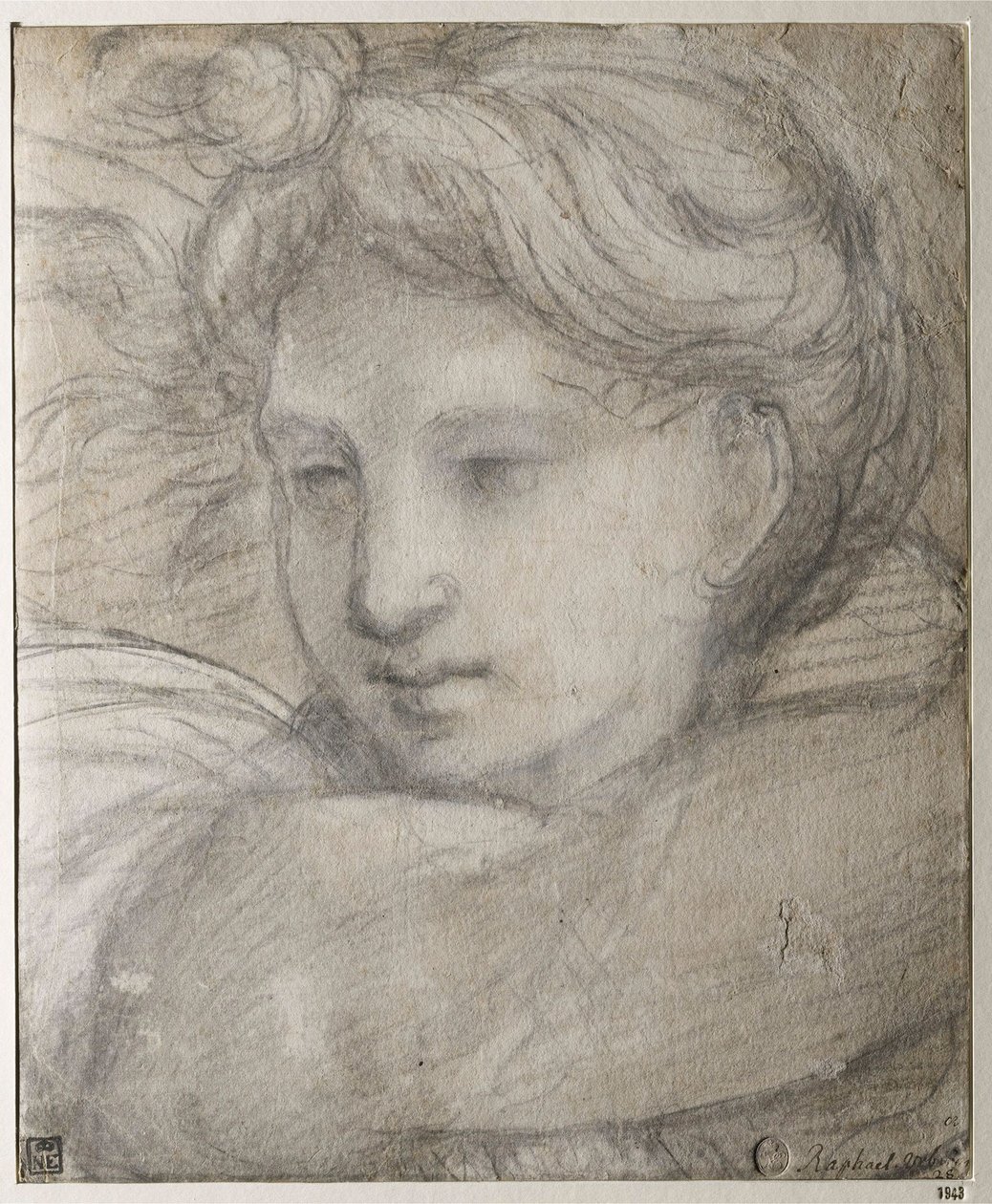 Raffaello Sanzio - Głowa Anioła par Raphael (1483-1520), ok. 1930 1520 - Czarno-biała kreda na papierze, 30,8x25,4 - Muzeum Szepmuveszeti, Budapeszt autorstwa Raphael