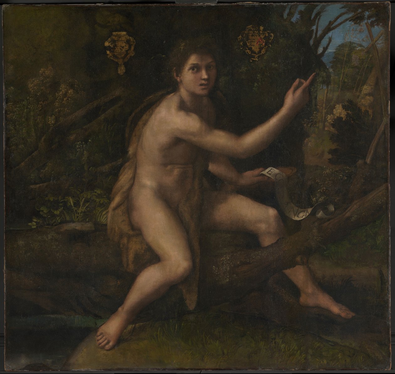 Święty Jan Chrzciciel autorstwa Raphael (1483 1520)
