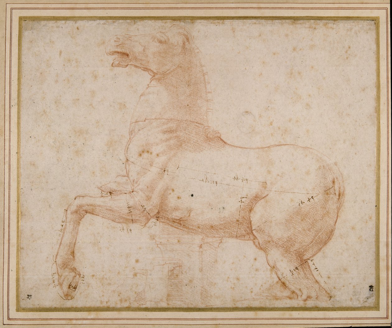 Studium konia (pióro i atrament i ołówek na papierze) autorstwa Raphael