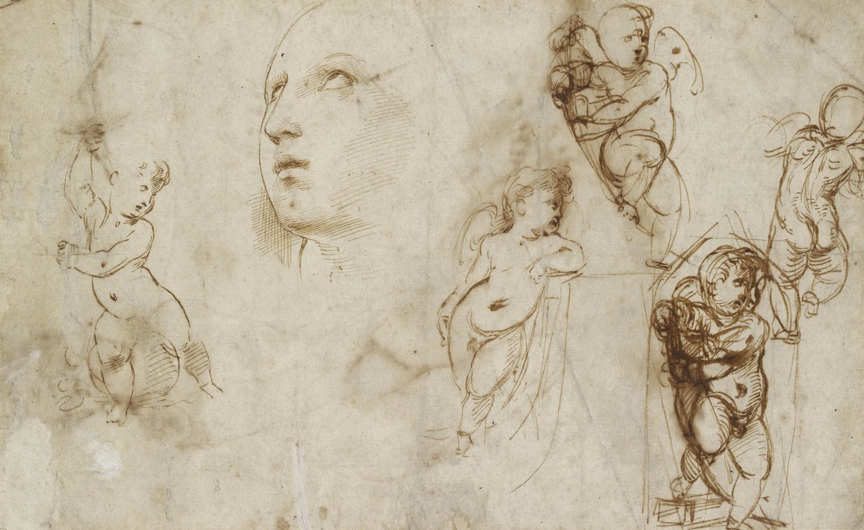 Różne badania, głównie dla Borghese-Beckford St Catherine (Pen and Brown Ink na białym papierze) autorstwa Raphael