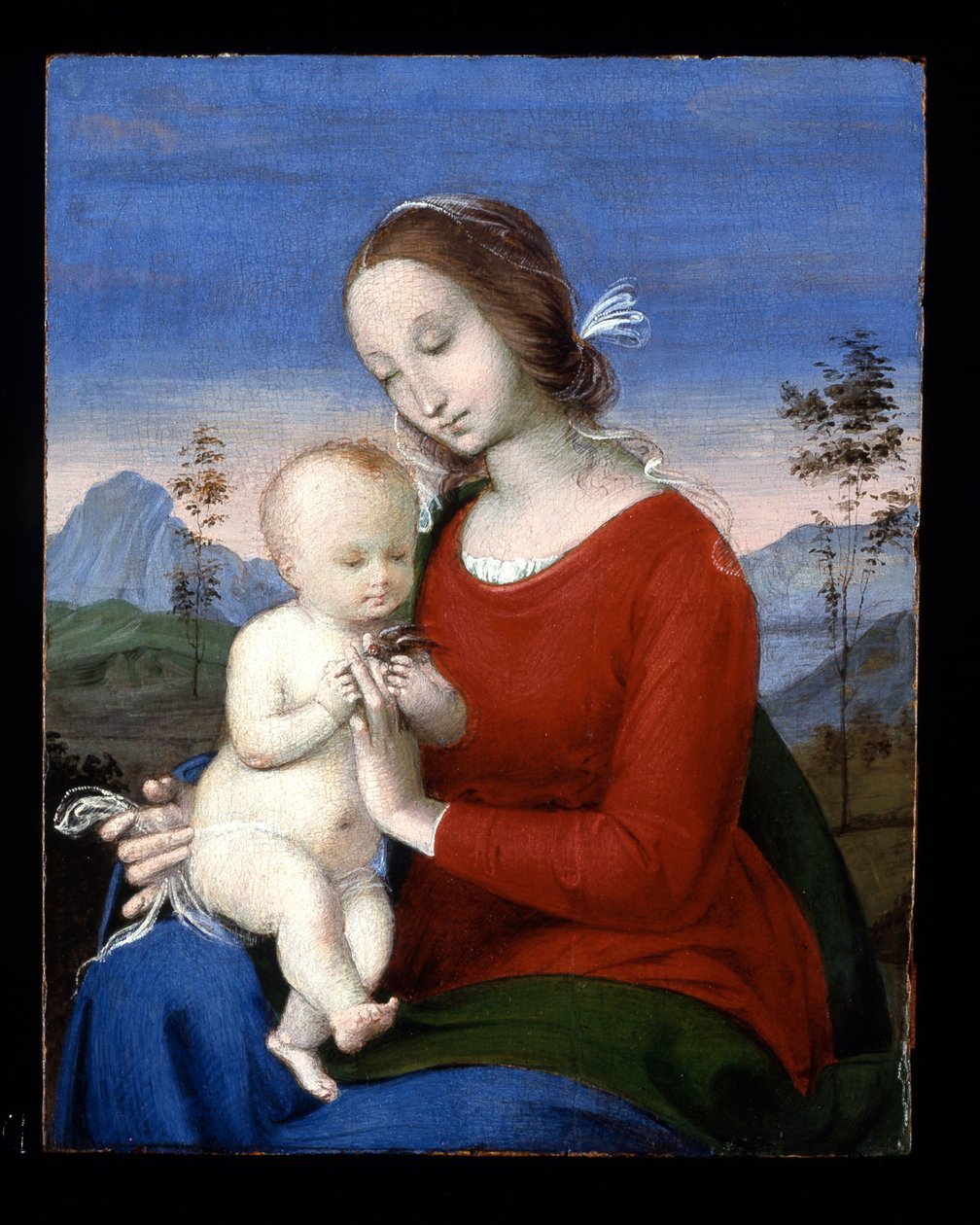 Madonna z Dzieciątkiem i ptakiem autorstwa Raphael