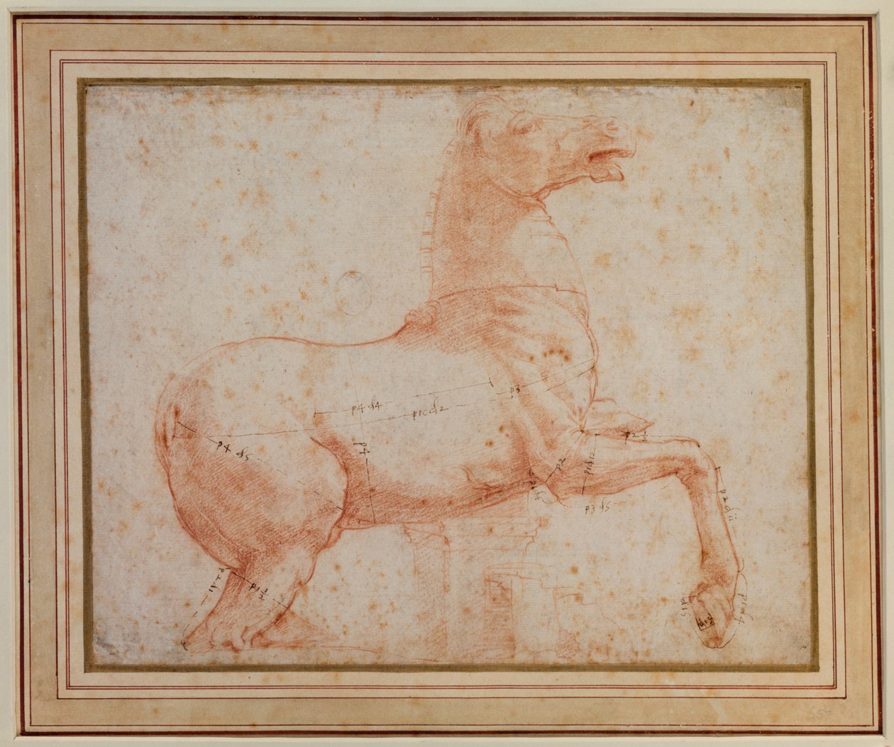 Studium jednego z koni kwirynalskich z marmuru, ok. 1515-17 autorstwa Raphael