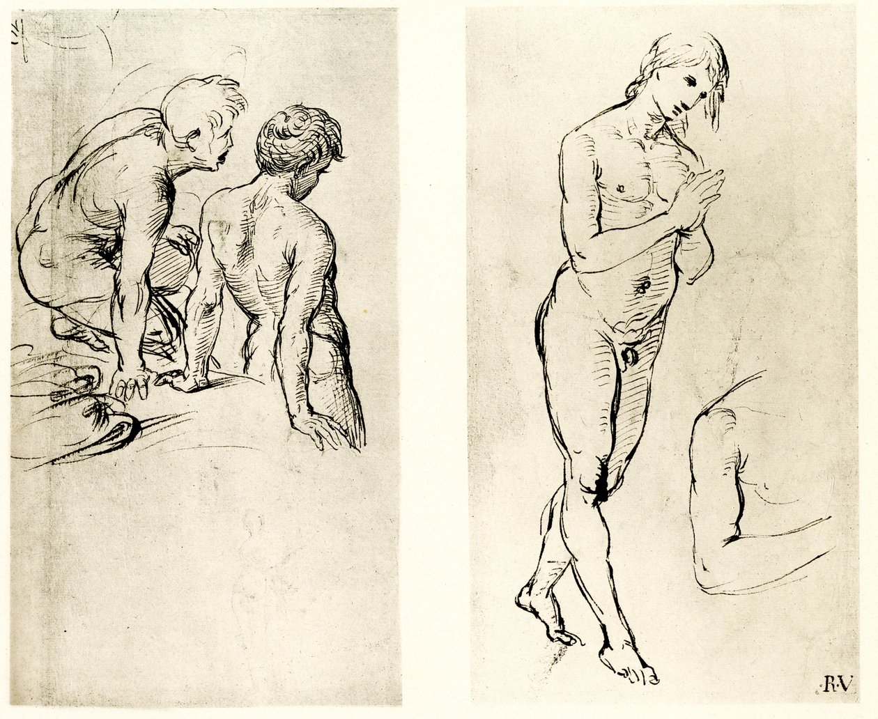 Studiuj na modlącej się postaci autorstwa Raffaello Sanzio Raphael