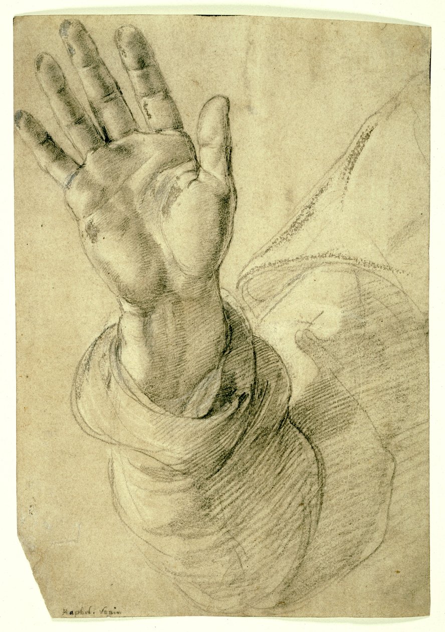 Uniesiona prawa ręka, z dłonią skierowaną na zewnątrz: Studium św. Piotra, 1518-20 autorstwa Raphael