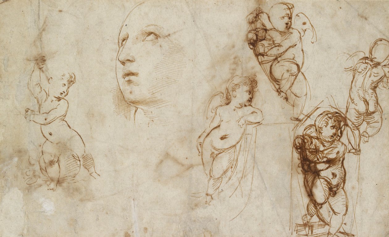 Różne studia, głównie dla Borghese-Beckford St Catherine, początek XVI wieku autorstwa Raphael