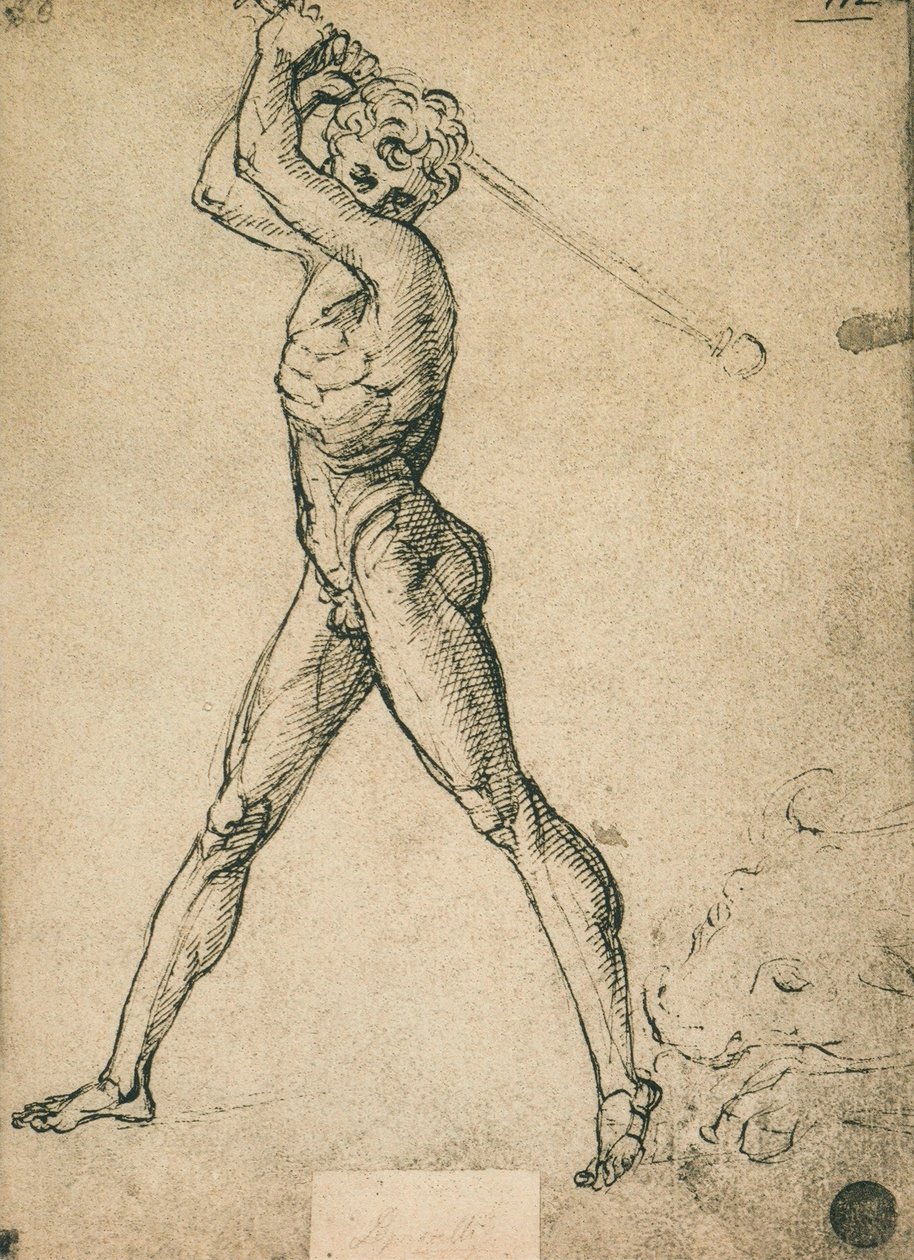 Herkules zabija byka; rysunek Rafaela. Gallerie dellAccademia, Wenecja autorstwa Raffaello Sanzio Raphael