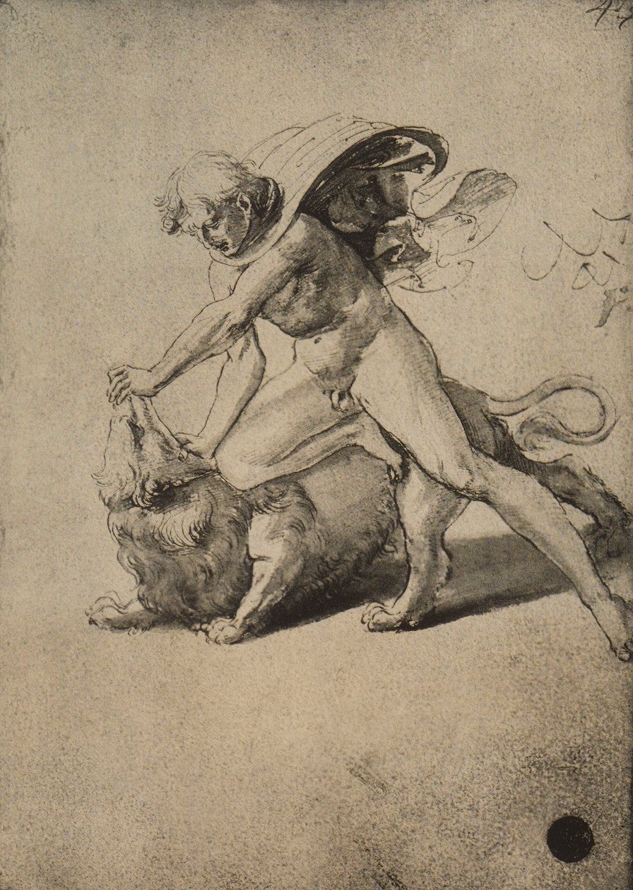 Samson walczący z lwem; rysunek Rafaela. Gallerie dellAccademia, Wenecja autorstwa Raffaello Sanzio Raphael