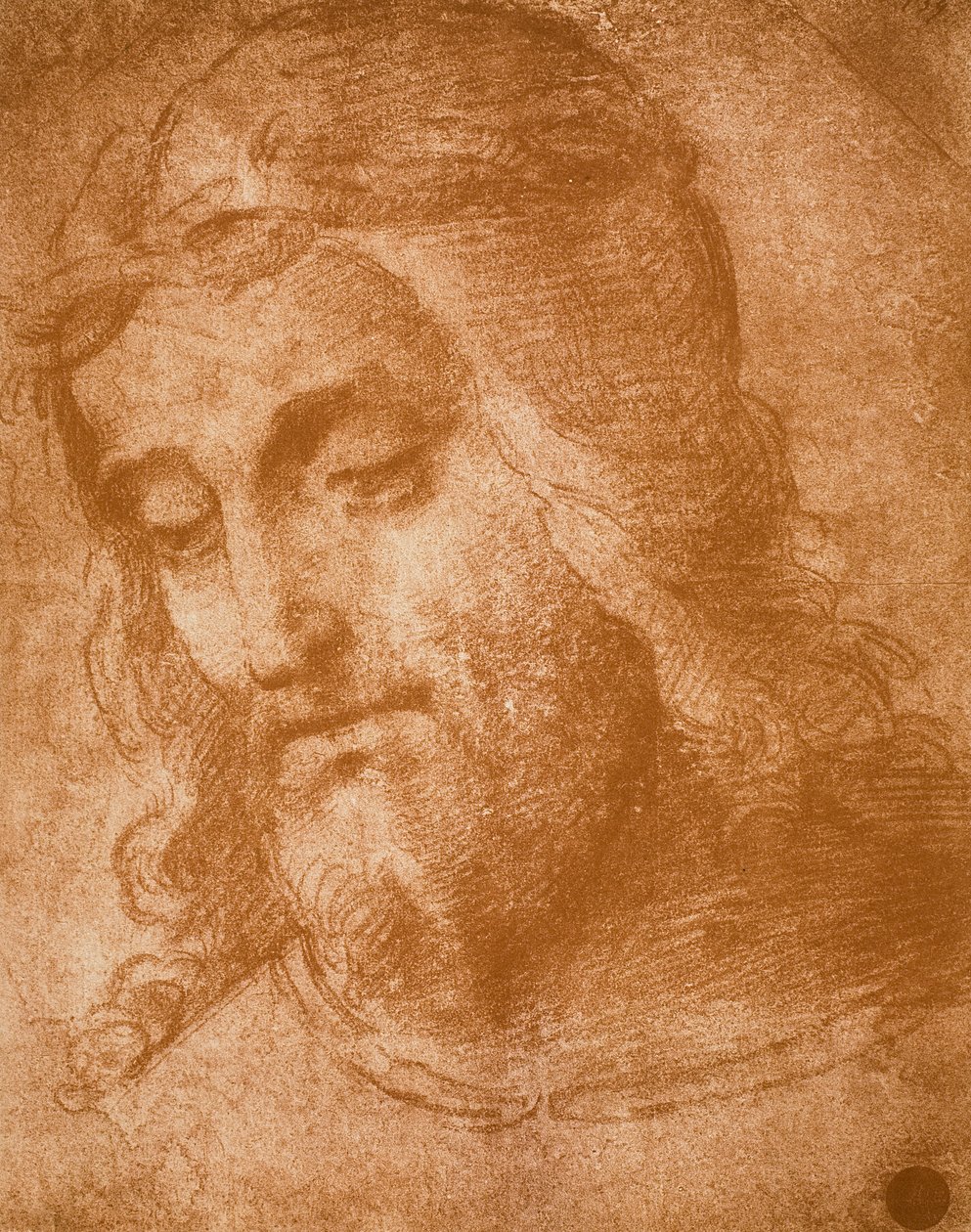 Studiuj twarz Odkupiciela, rysunek Rafaela. Gallerie dellAccademia, Wenecja autorstwa Raffaello Sanzio Raphael