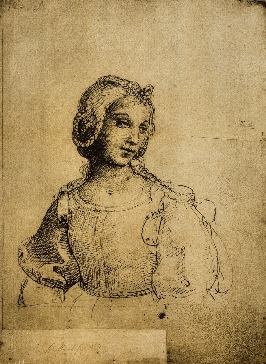 Studium kobiety; rysunek Rafaela. Gallerie dellAccademia, Wenecja autorstwa Raffaello Sanzio Raphael