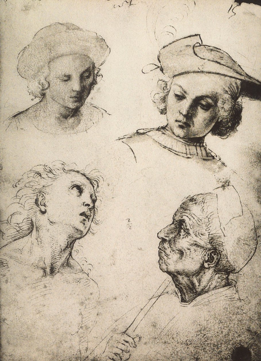 Badanie czterech męskich twarzy; rysunek Rafaela. Gallerie dellAccademia, Wenecja autorstwa Raffaello Sanzio Raphael