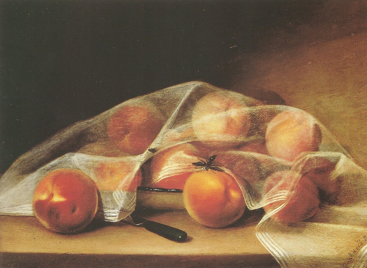 Kawałki owoców z brzoskwiniami przykryte chusteczką - raphaelle peale autorstwa Raphaelle Peale