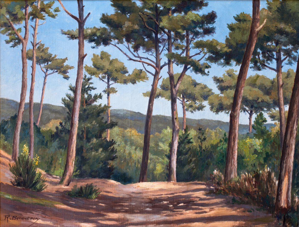  autorstwa Raymond Bonnefon