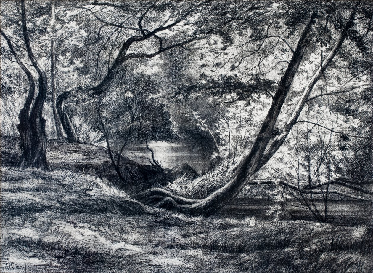  autorstwa Raymond Bonnefon